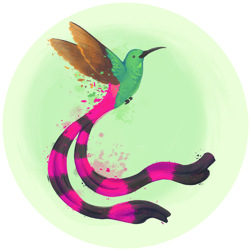 Colibri Aerial Academy